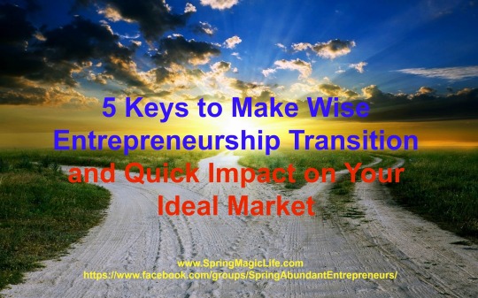 5Keys Wise Entrepreneurship Transition and Quick Impact